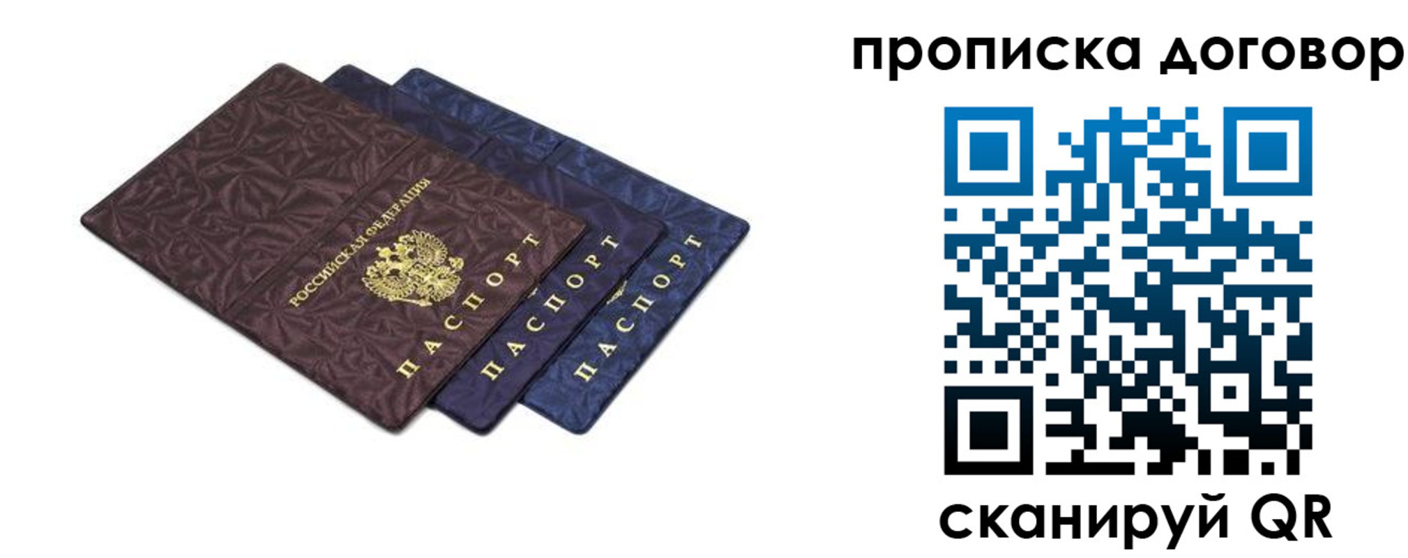 прописка ребенка в Мончегорске